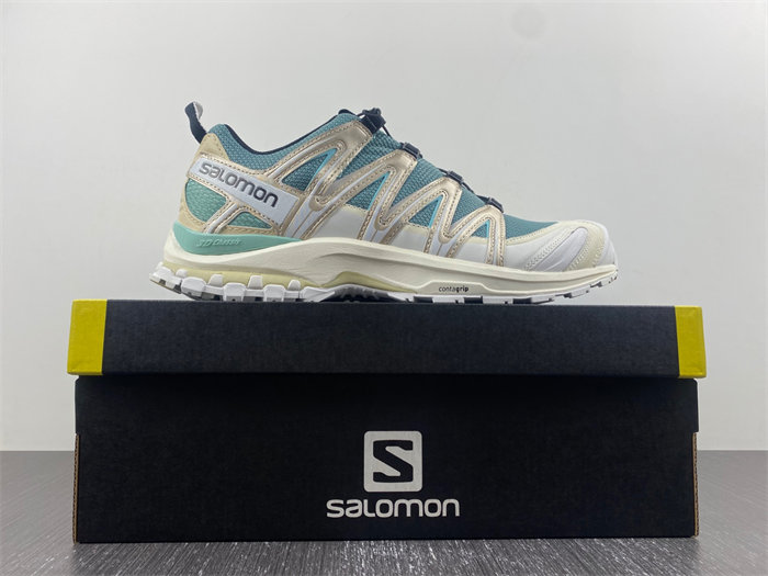 Salomon XT-6 413148