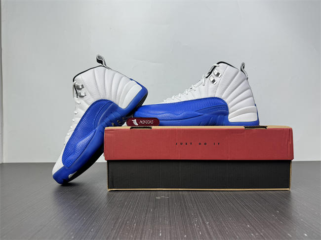 Air Jordan 12 Blueberry CT8013-140